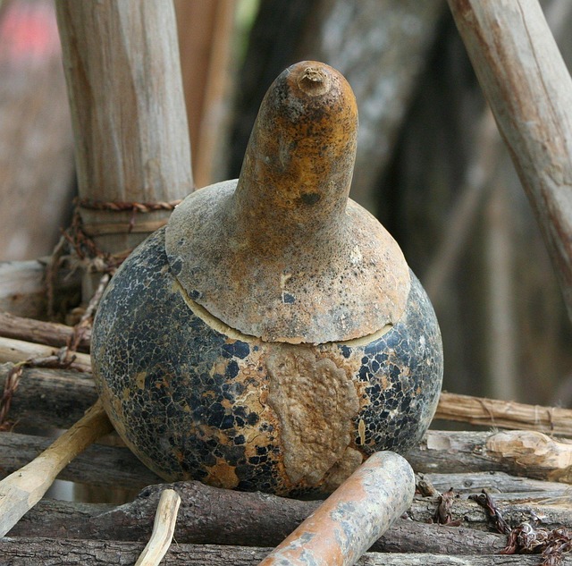 v3 jamesdemers gourd bowl 58895 640