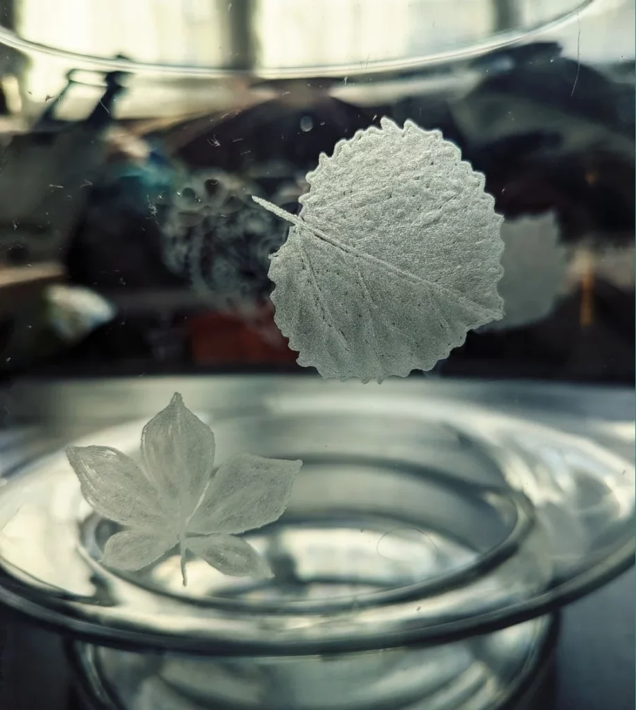 Expérimentations de gravure sur verre, datant d'avant ma découverte de la cougourdonnerie