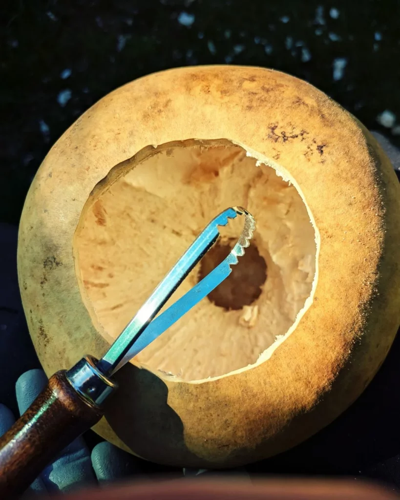 Nettoyage de l'intérieur d'une courge avec un grattoir
