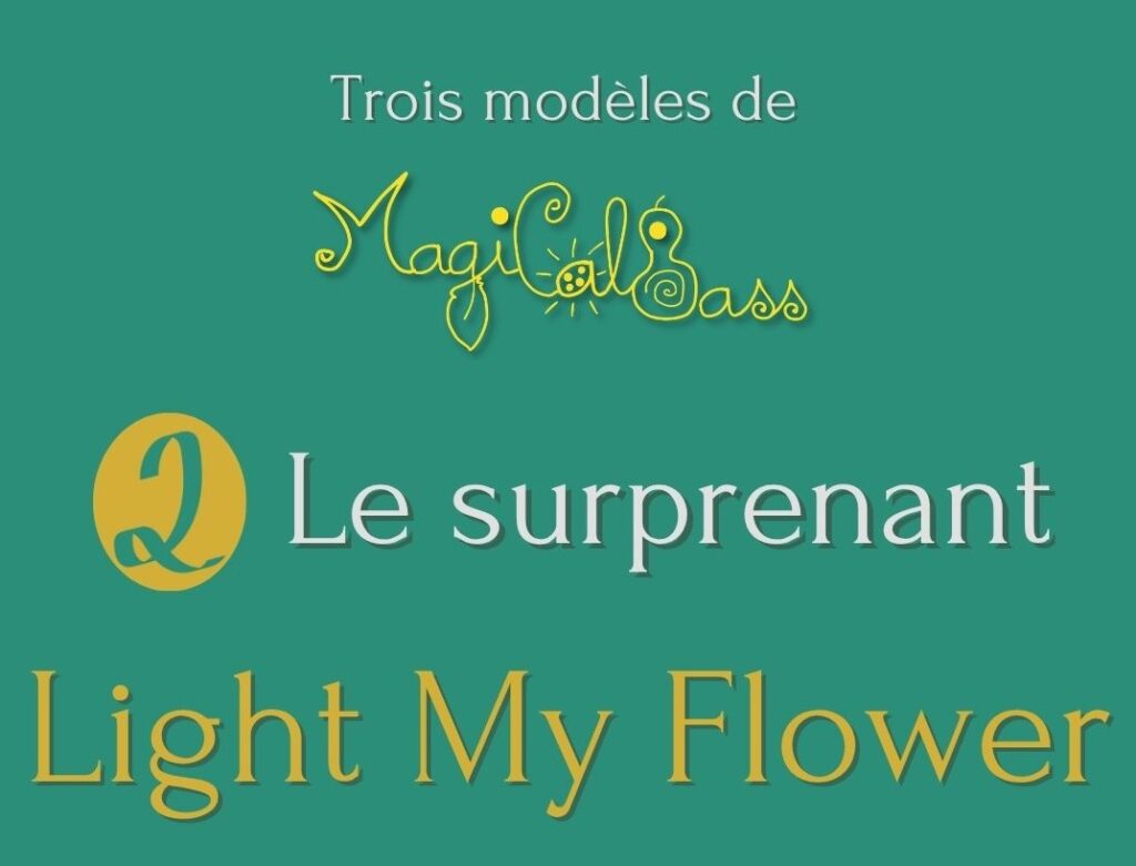 Présentation : le 2ème modèle, le Light My Flower